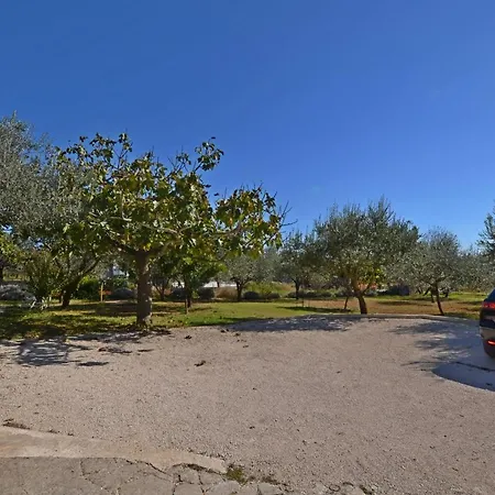 Mediteraneo *